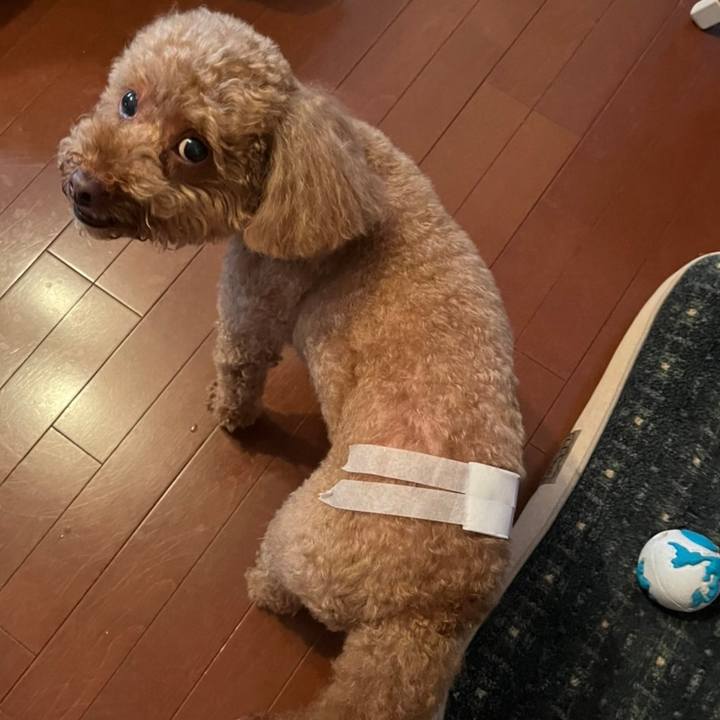 70d54adc 5b9d 43b1 8460 6d6084fdd683 1655543855851