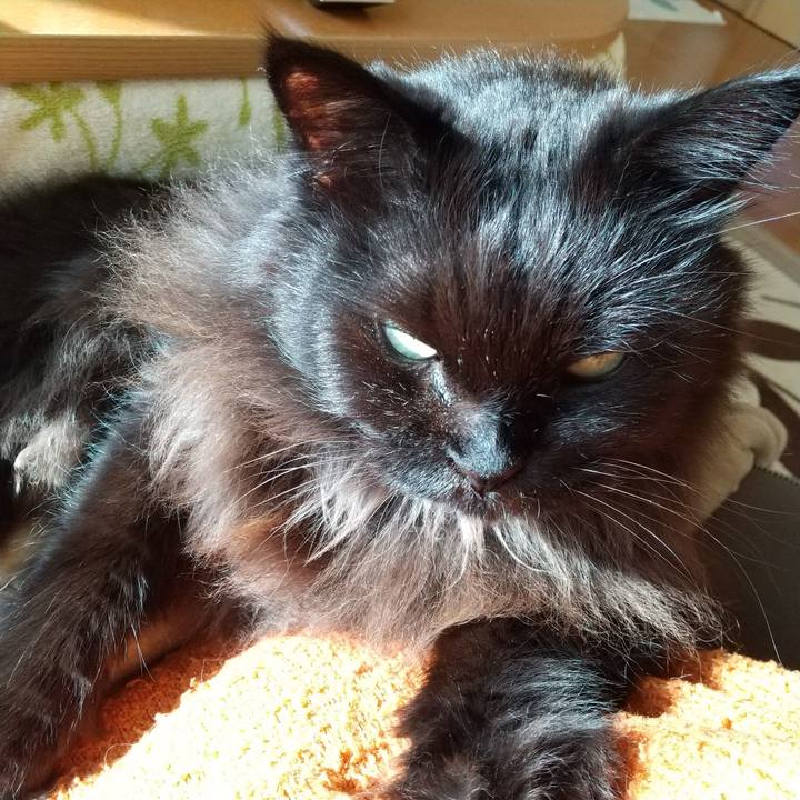 70d579b0 c08d 4bb9 9dba 5b9a316be1e9 1606453523736