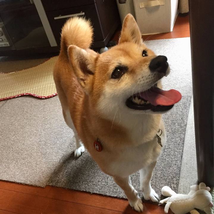 70d57ac6 f1ce 43d0 8391 6d060a5e5124 1529538184104