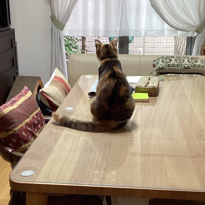 70d5bc58 2273 47dc b8de 97eb1935f786 1662154930522