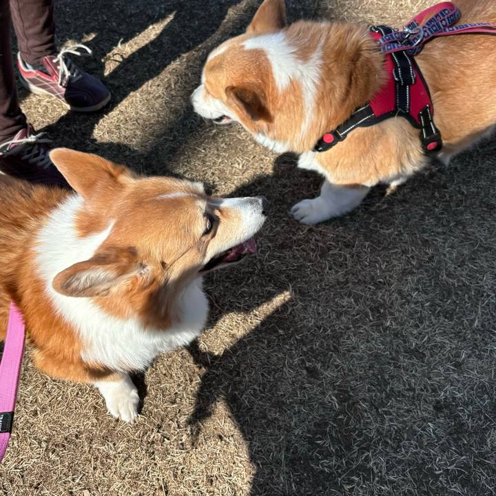 70d5bf34 5ec5 4043 84d1 7a7ebdd7fd56 1739503180459