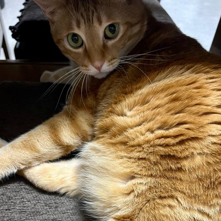 70d5f41f f3e6 4fa4 81aa 2938f276164d 1704751302091