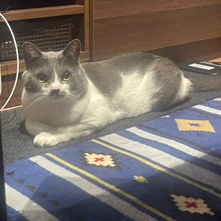 70d5fa7b 648f 43a1 b1af 86dccaceb5d6 1638803161368