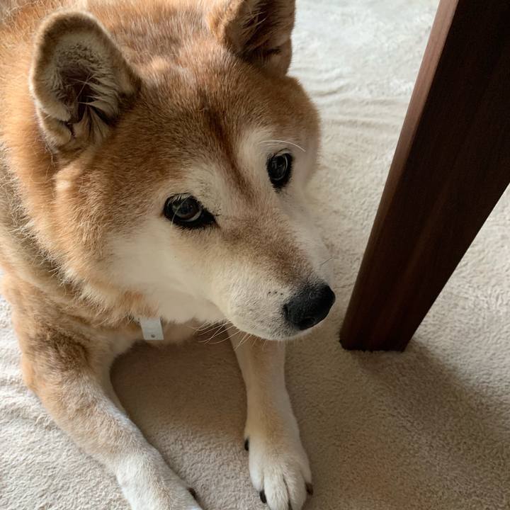 70d61564 c14c 4629 8ab6 9635696feb8a 1567379172326