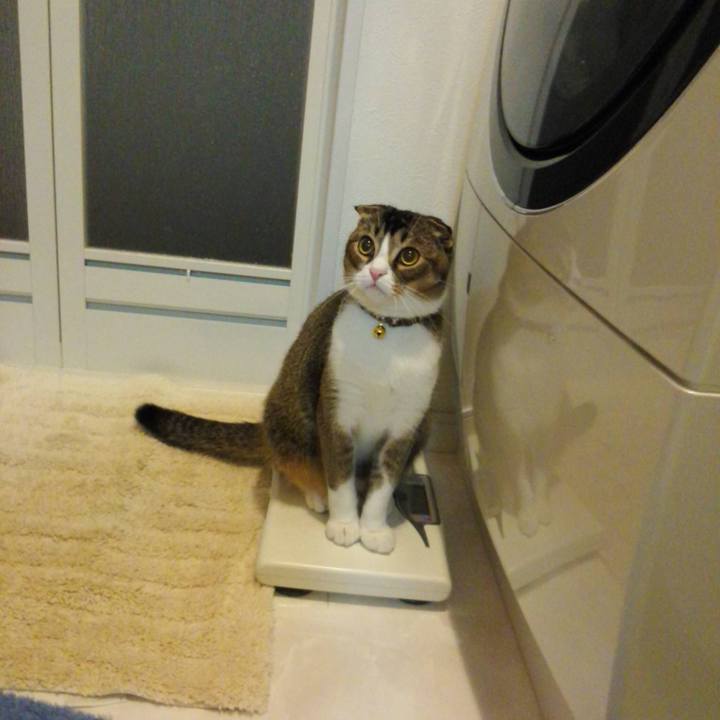 70d61a29 650c 4278 8019 1b54e88b6ffb 1545259002957