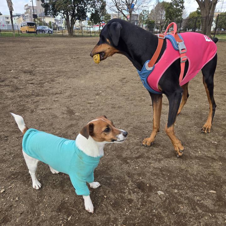 70d65c47 6afc 4b23 aa8f ccaf53b3de99 1766999515280