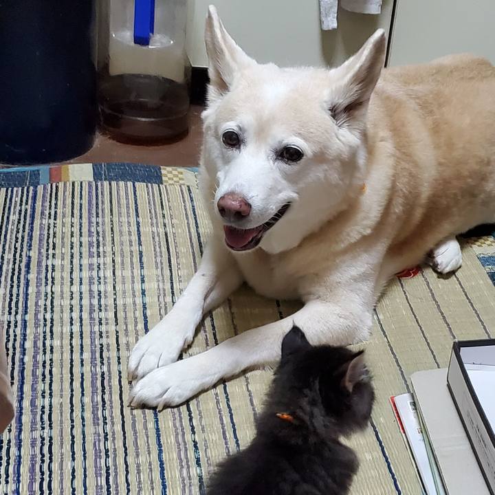 70d6687b dfe6 4157 93af 7a01a2d359a2 1625529951107