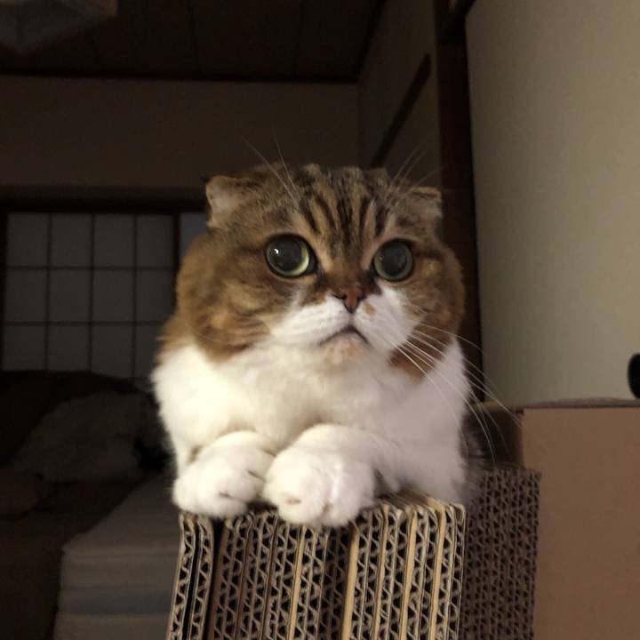 70d689be 7363 4ef6 9549 ac19ff60ed47 1569511674283