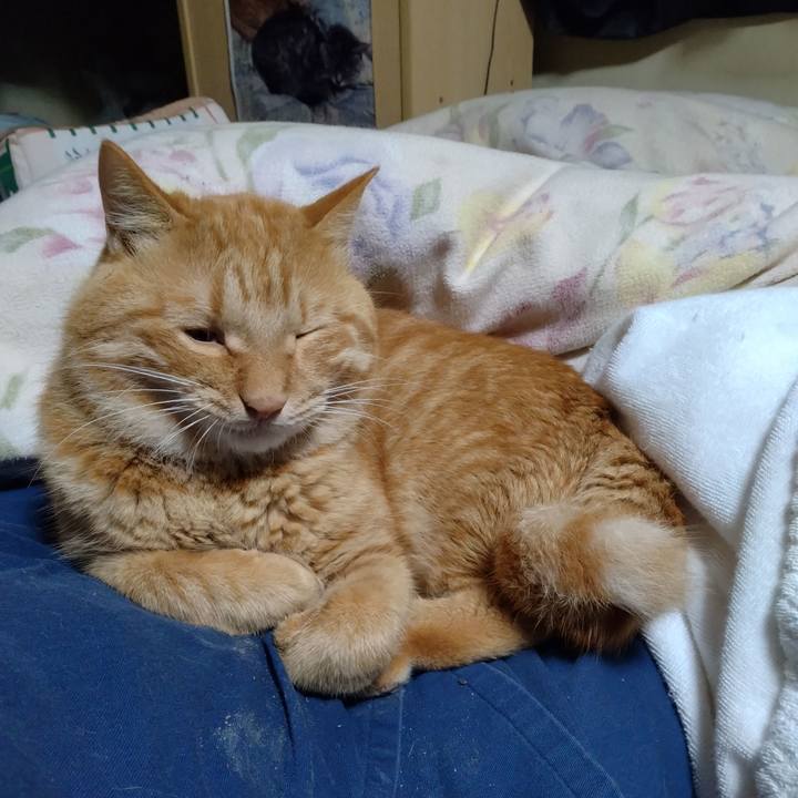 70d6c7e9 c72d 4ee5 b4e8 d24418bc0c28 1697976036622