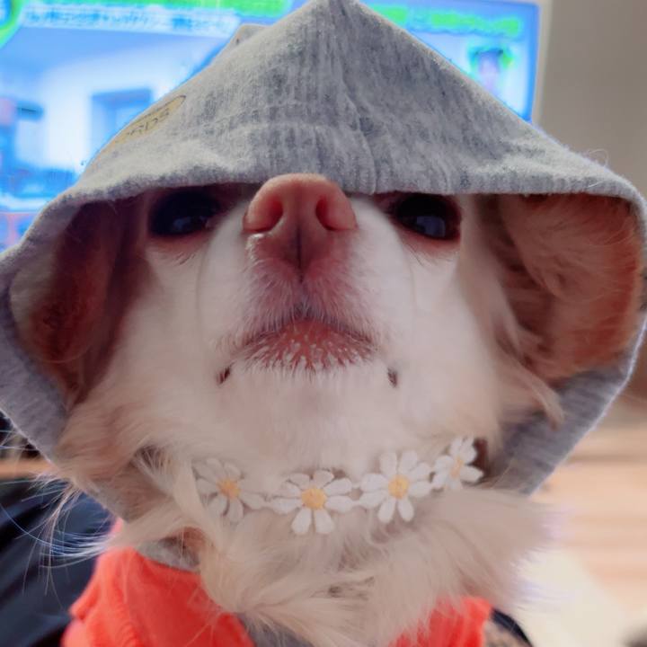 70d6d750 16f9 438d b816 1cedc85188f1 1746718864592