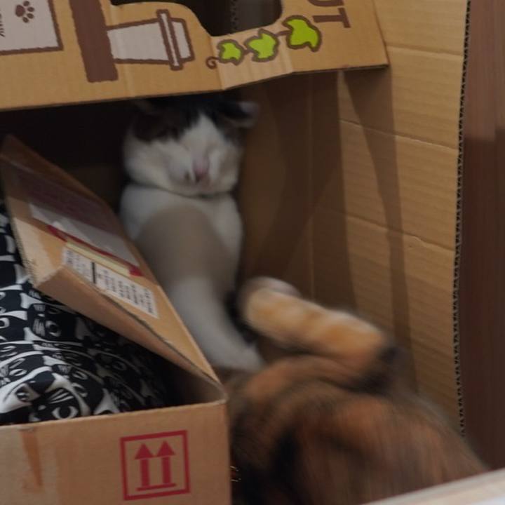 70d7378c 5d49 40e2 bf6b f98858504e9a 1611754017400