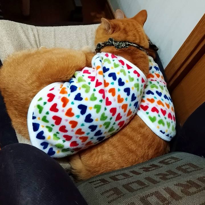 70d73d0c 14ba 4762 ab23 3819cb4f8513 1579358014720