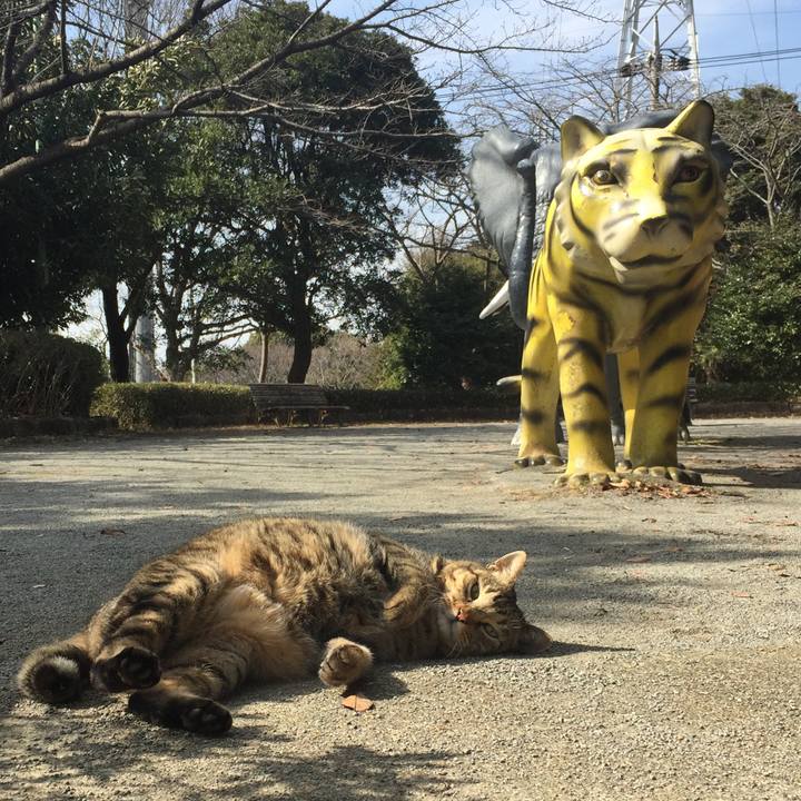 70d75b5d af7e 4871 94c6 08467edff04b 1518793703834