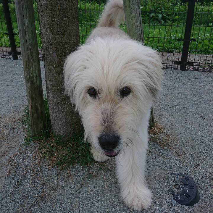 70d76cab b50c 4743 a992 6bcda911f0ab 1562540046097