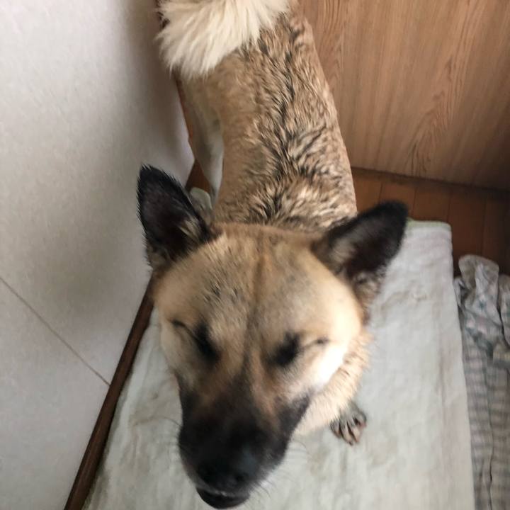 70d7961a c21c 4e01 a0c6 e058ff48a6ba 1529147094990