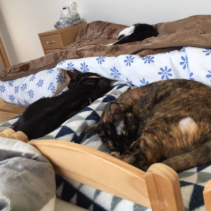 70d7aedd 14a8 4c94 8d96 9f9171593235 1541659399844