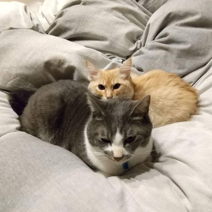 70d7af05 1426 40aa 9960 f8c6e21627ed 1610920027186