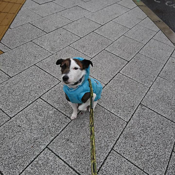 70d7c7ca d255 4b18 9ec6 8b3fed5ce302 1521669405870