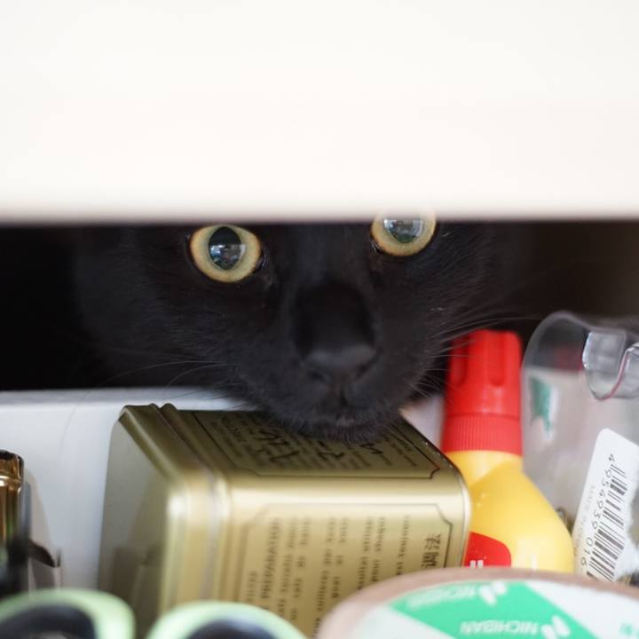 70d7d410 832d 4cb8 9a66 1de78d32c6e1 1523316351190