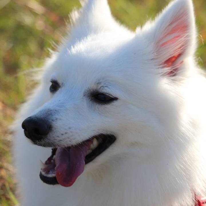 70d7eceb 0709 4efe b06d 721ded821c45 1540715279199