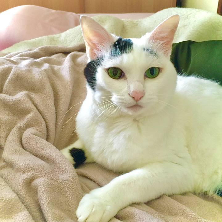 70d8022c cb5f 4c04 9a67 f40f7e816a89 1630636803042