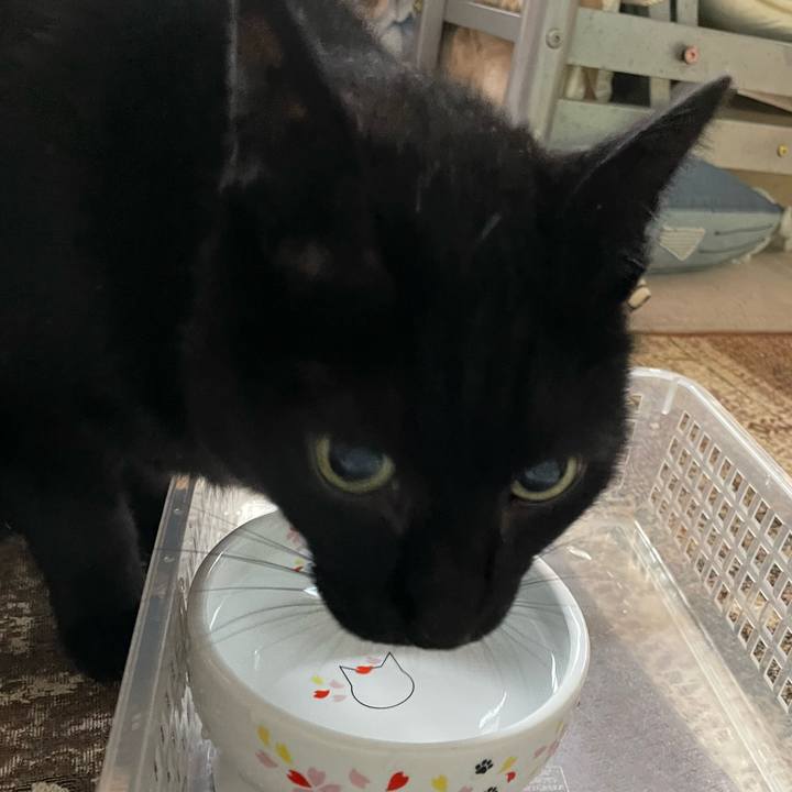 70d81628 a048 4b52 a0cb 714a8daa37f2 1651283505065