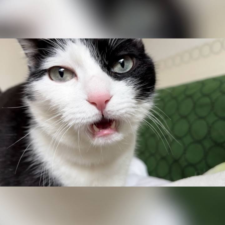 70d82f27 88bb 4038 a2f0 58ebf3cad97c 1711666316451