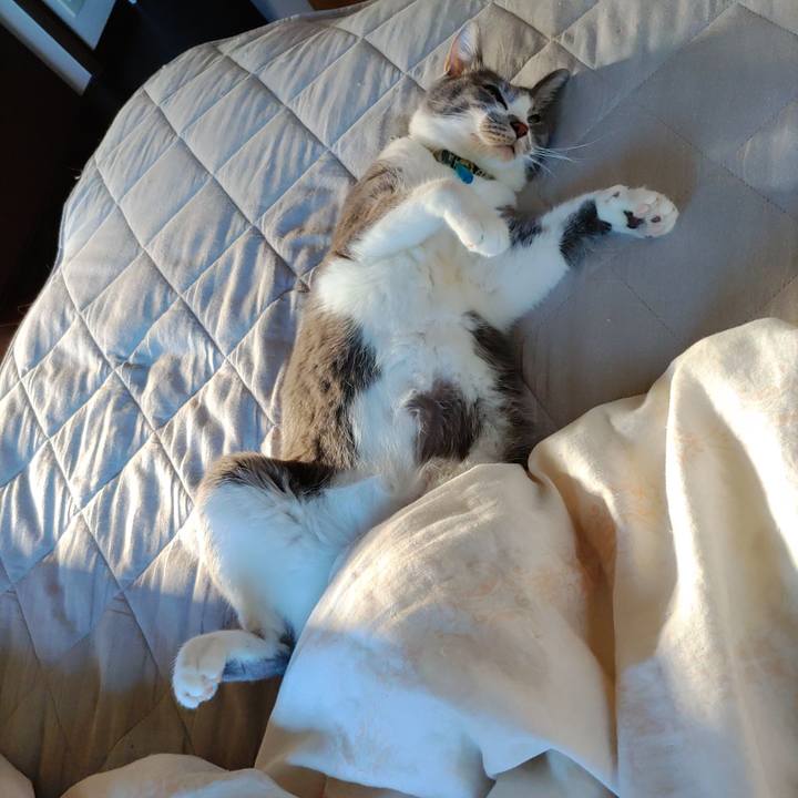 70d82f5f b564 4587 acb8 42816ec53c10 1697508752026