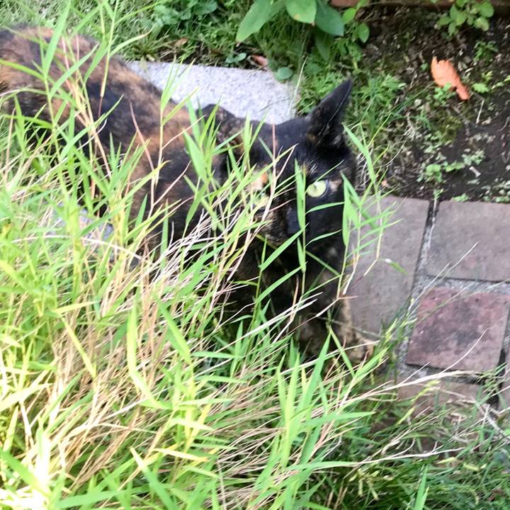 70d87e47 9d3e 4b4b ae7c 66faf2808fba 1569828664219