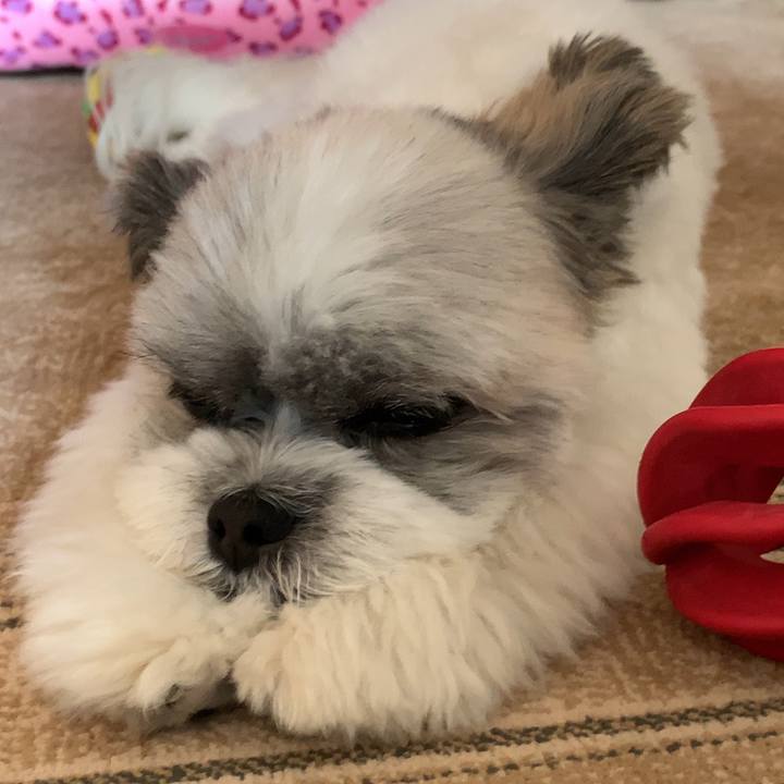 70d88c76 dddf 409c 9186 db9cb17334f8 1566358999994