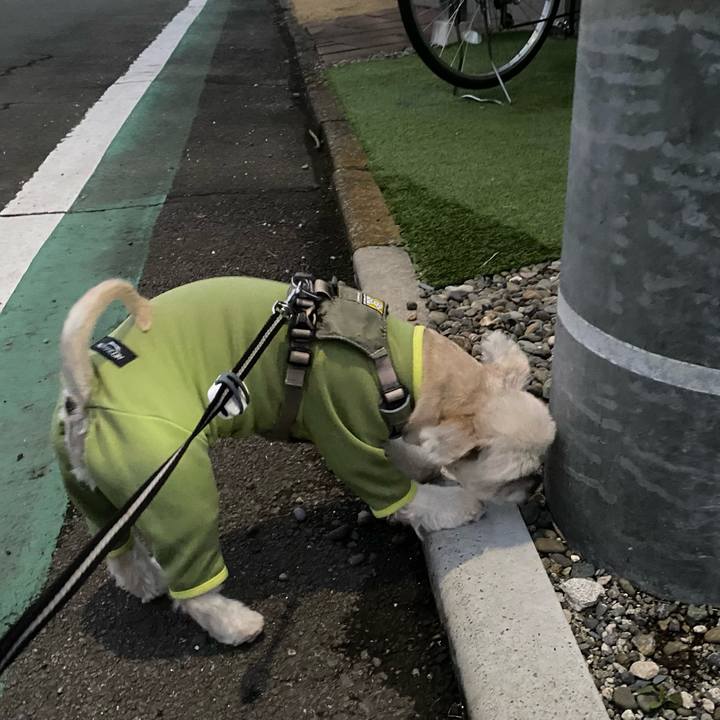 70d8a121 d64e 495e 9178 ec0809074e14 1709726613560