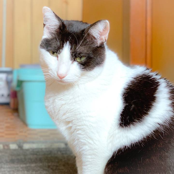 70d8bc74 d9b0 4a7d a0d8 0a35822973f2 1560992635500