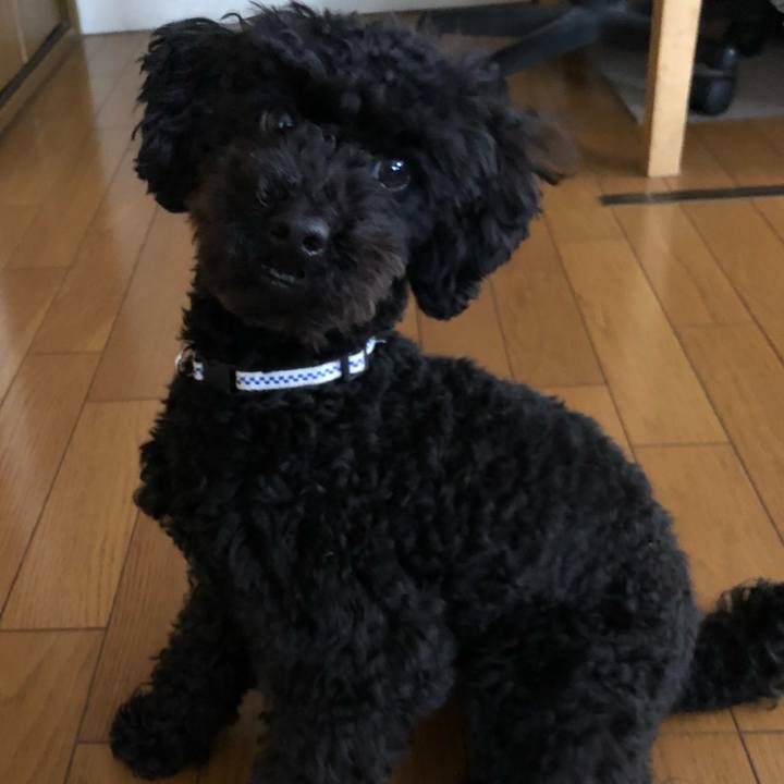 70d8cf84 1c3d 42fa 9e5d fd100664f27f 1518952349041