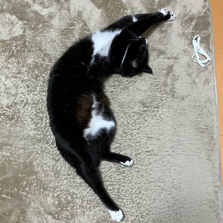 70d8d44f 9ccd 4d12 858c e9a57c535d67 1684899487428