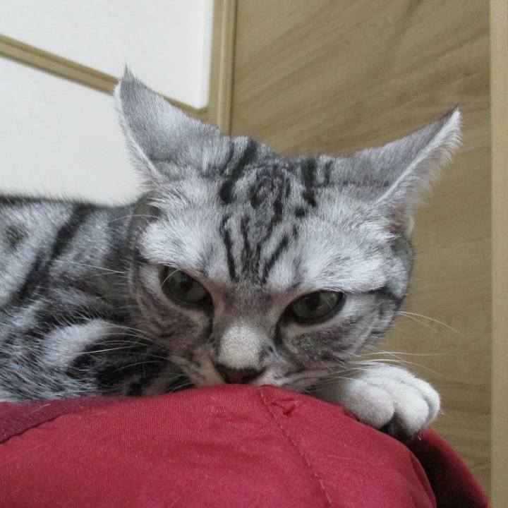 70d8f7f7 f1b7 4dfa 9be9 9ef9a75dc7a1 1549789714784