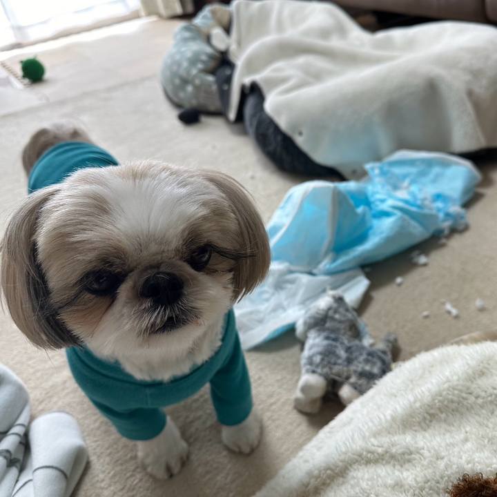 70d9019b 0eab 4653 a069 07aaaacabc5a 1709901059800