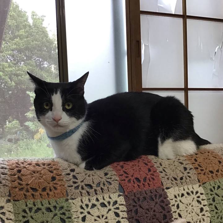 70d90f4d fe89 4bdf b309 20c4dd3ac70e 1747559308284