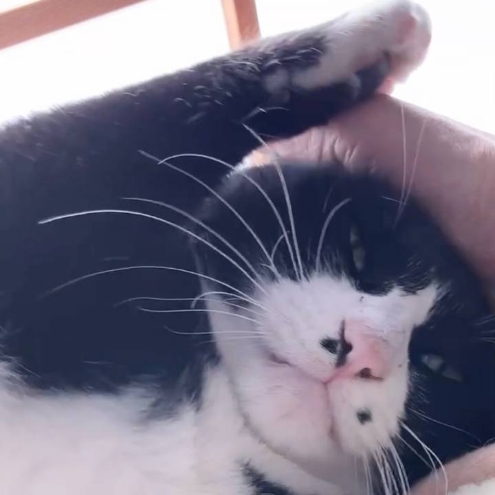 70d90f5b 650f 4c4d b235 081b82648785 1737337044424