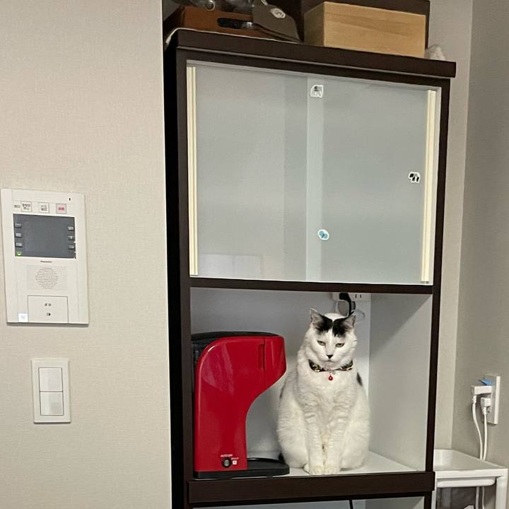 70d9295d 6251 48d7 9d7b 79714446c235 1646699438198