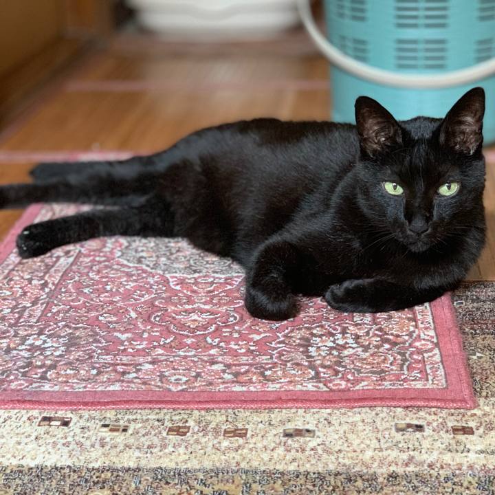 70d934c5 e9e0 4864 b6d5 a6b194c33c76 1562202416387