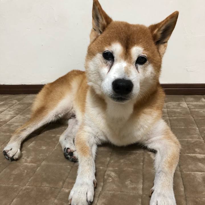 70d97208 4bab 43fc 8d3a 09789648ef13 1574635157130