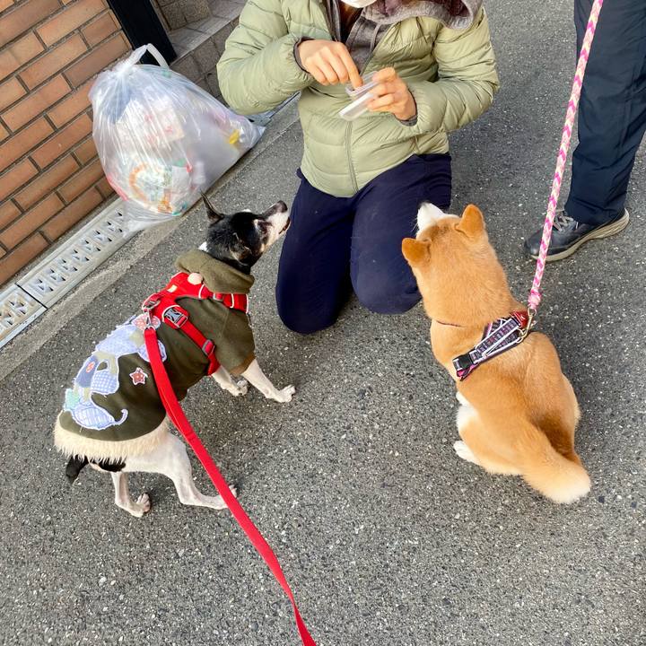 70d97ab0 41c1 4496 bb5b cf147c9d924c 1613205631278