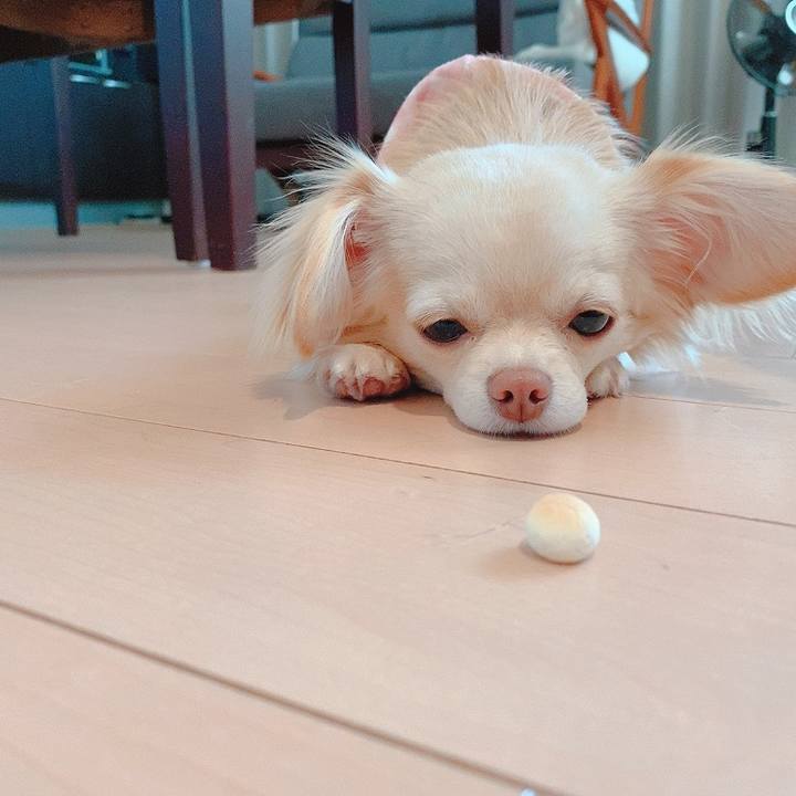 70d9ce0a 0e64 4e13 88a7 a500ccd0fd6b 1618463876663