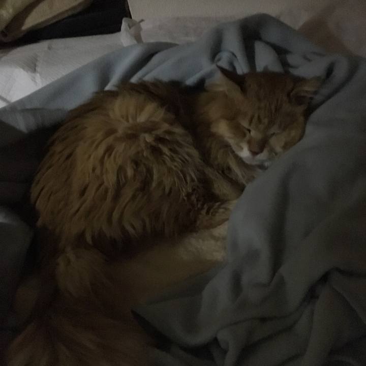 70da0477 383a 429c bc21 a71377e86e47 1523350858127