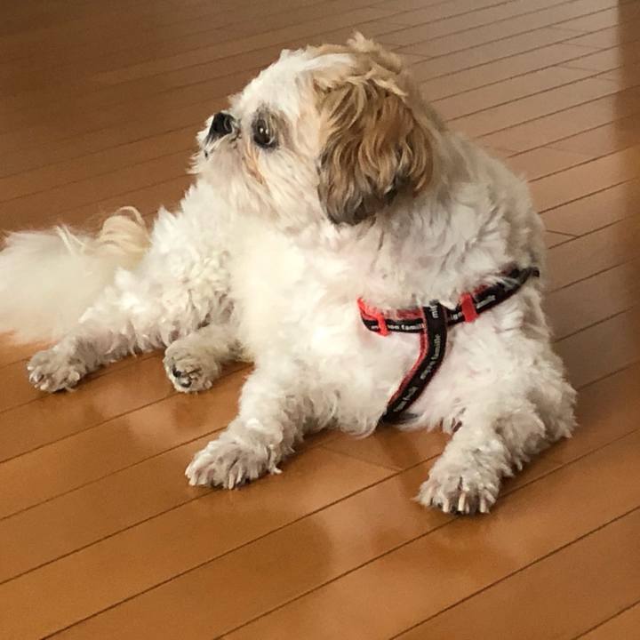 70da1660 f507 4b71 ab3e 2b5782268312 1598391805252