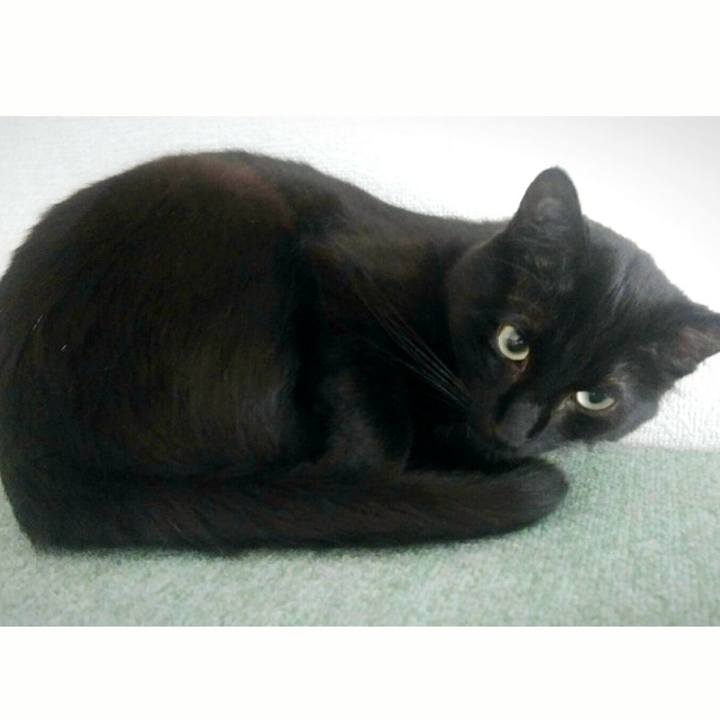 70da97fa 4001 404d bb5b f9688b2aa590 1523073316852