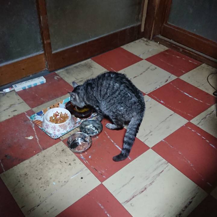 70dafee9 2b23 46bd babf a0c845611cbd 1582921225006