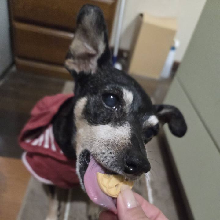 70db162f dde5 484b bcae 756a0529da40 1764186666890