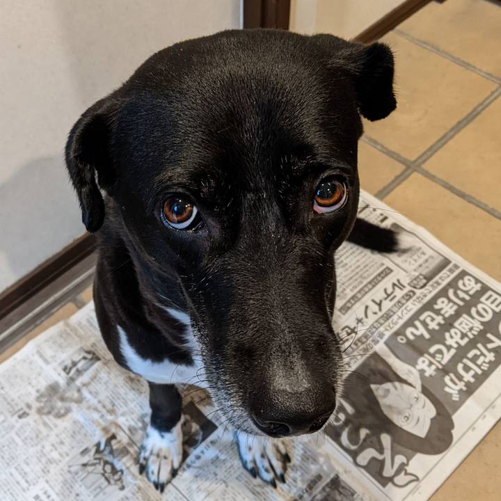 70db1729 8ff3 44cf a041 af352b09737a 1670890227708