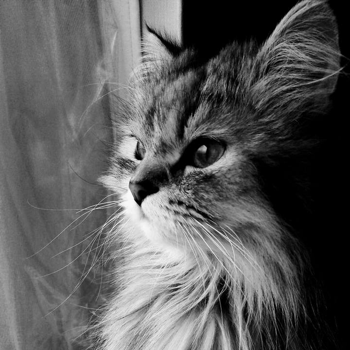 70db240b 3544 4438 aa12 c95aadadcb71 1626140378475